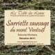 Sarriette sauvage du Mont Ventoux