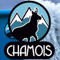 le chamois